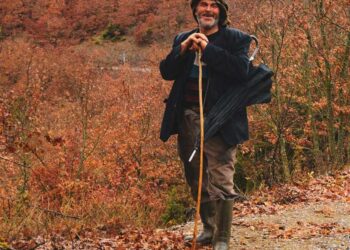 Köklerden öte İnsan sadece “insan” olarak var olabilir mi?